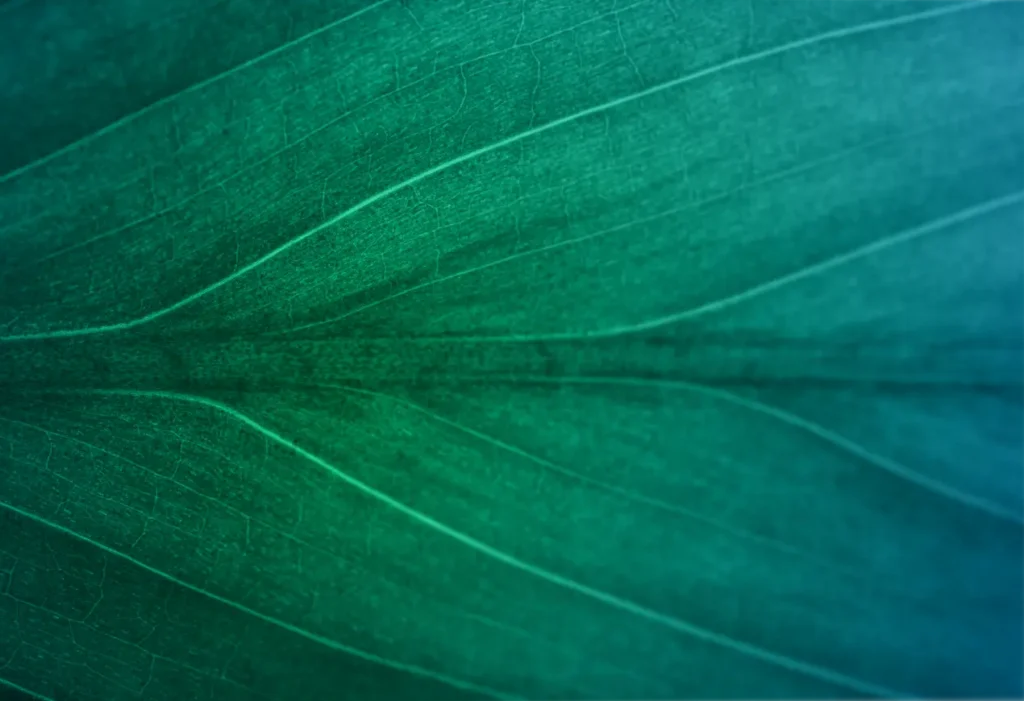 From overwhelmed to action: my takeaways from a climate webinar series